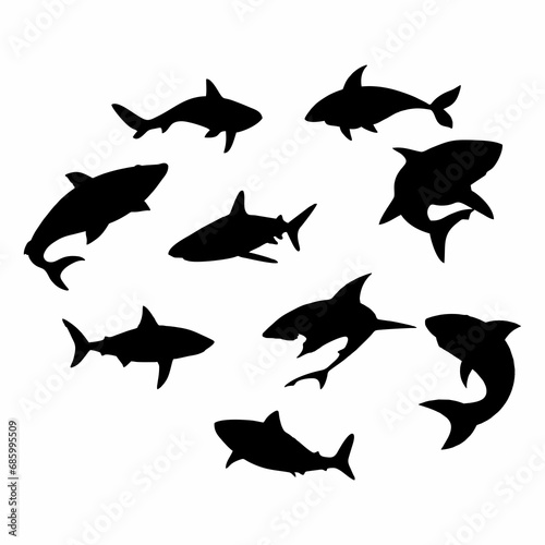 silhouettes of sharks