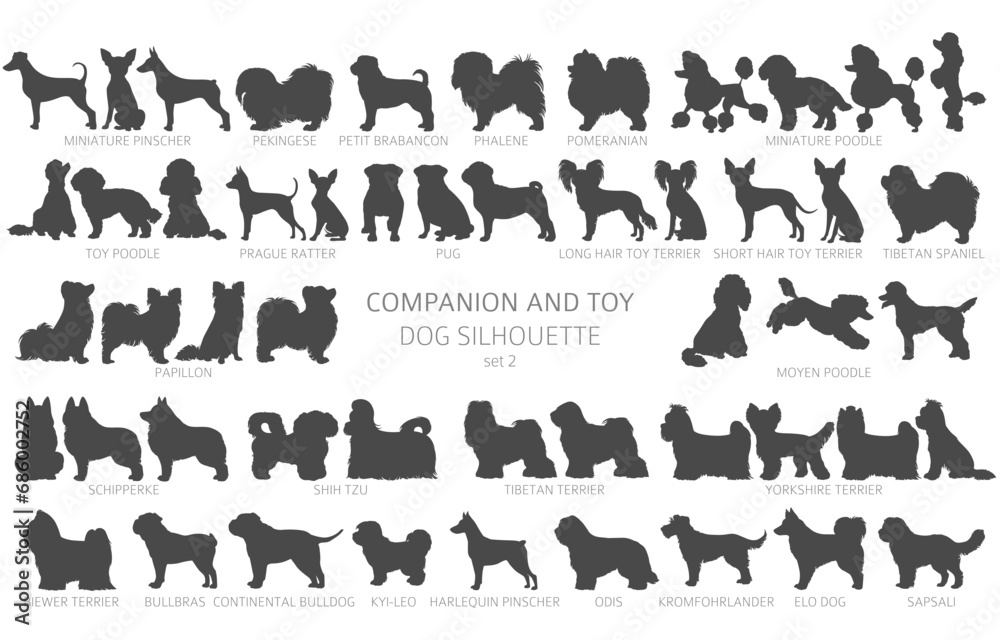 Dog breeds silhouettes, simple style clipart. Companion and toy dogs collection