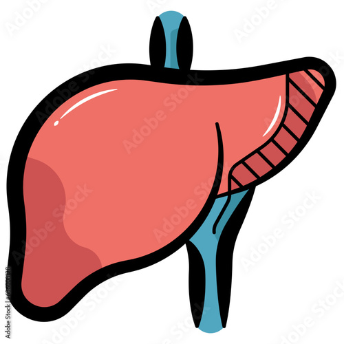Liver Icon 