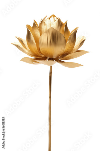 Golden lotus flower with stem isolated