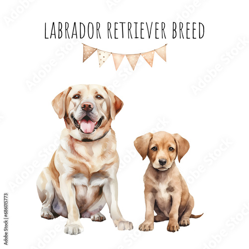 Watercolor labrador retriever breed adult dog and puppy. Watercolor collection of dogs.
