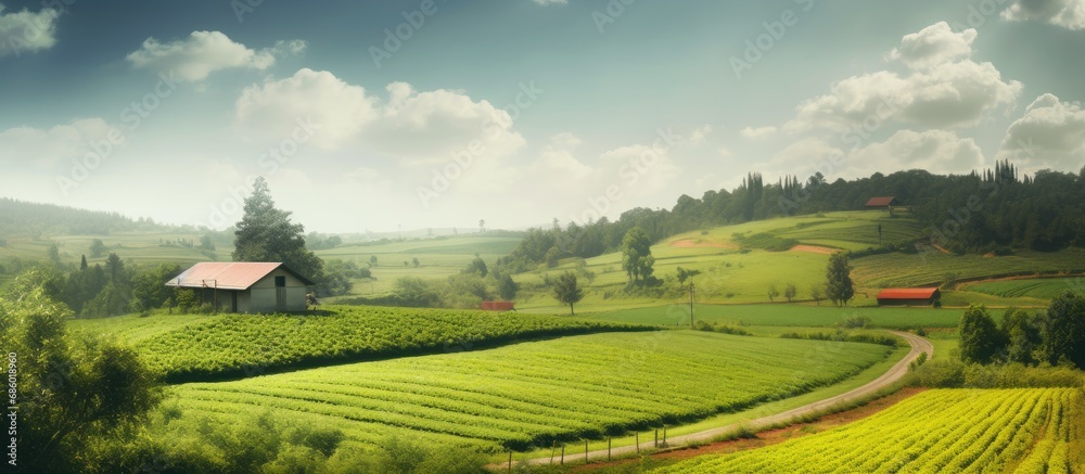 Fototapeta premium The beautiful landscape of the farm, with its lush green fields and vibrant leaf-covered trees, perfectly showcases the awe-inspiring beauty of nature and agriculture.