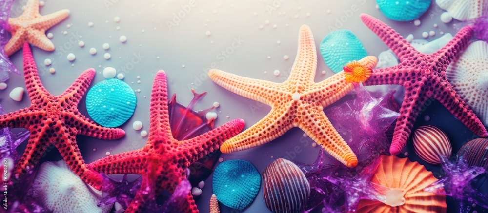 Vibrant sea creatures including purple starfish. Vibrant sea creatures including purple starfish.