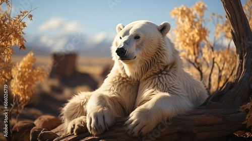 Polar bear Ursus maritimus sitting on tundra in the wild. Generative AI photo