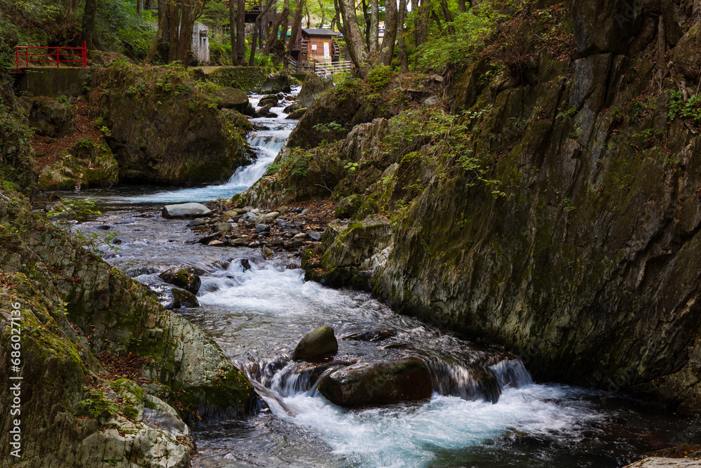 日本の風景 岩手県岩泉町 清水川渓流 StockFoto Adobe Stock