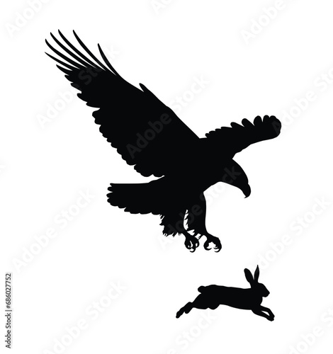 The silhouettes of a hare and flying eagle.