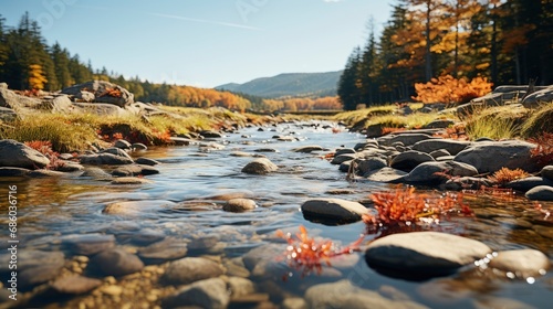 Stream Autumn Forest Sellective Focus, HD, Background Wallpaper, Desktop Wallpaper  photo