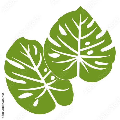 Monstera Leaf Illustration