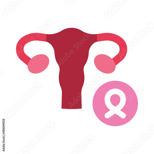 Cervix