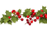 A sprig, three leaves, of green holly and red berries for Christmas decoration over white background