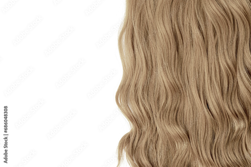 Hair care. Long wavy blonde female hair. Coloring in bright colors. Mockup for design and advertising. Hair care. Long wavy blonde female hair. Coloring in bright colors. Mockup for design and advertising.