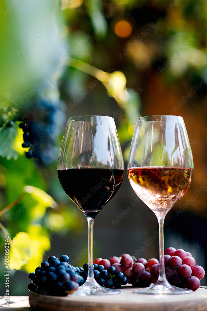 wine for tasting on table in vineyard