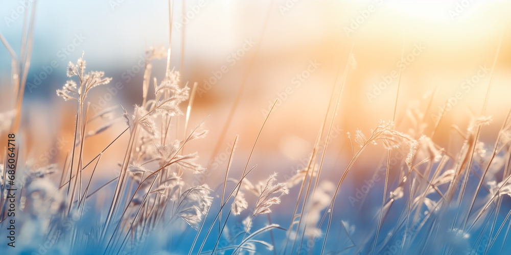 Beautiful gentle winter landscape, frozen grass on snowy natural background. Winter background with flowers covered snow crystals glittering in sunlight. Defocused winter landscape. Beautiful gentle winter landscape, frozen grass on snowy natural background. Winter background with flowers covered snow crystals glittering in sunlight. Defocused winter landscape.