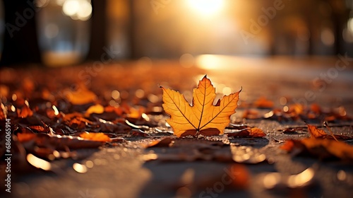 Autumn Whisper  Lone Maple Leaf on Cobblestone Path Bathed in Golden Sunset Light