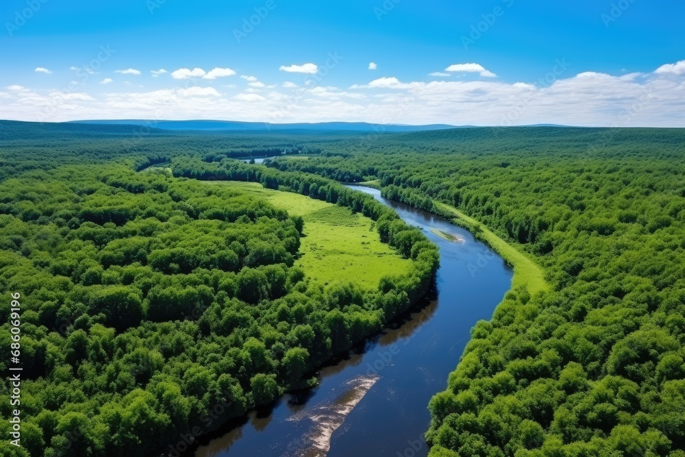 River and green forest aerial view. River bend and a small canal in the green forest. River and green forest aerial view. River bend and a small canal in the green forest.
