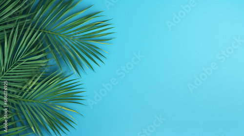 Palm leaves