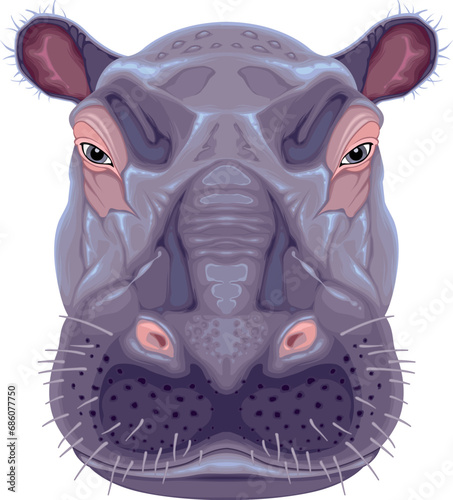 Hippopotamus head, vector i...