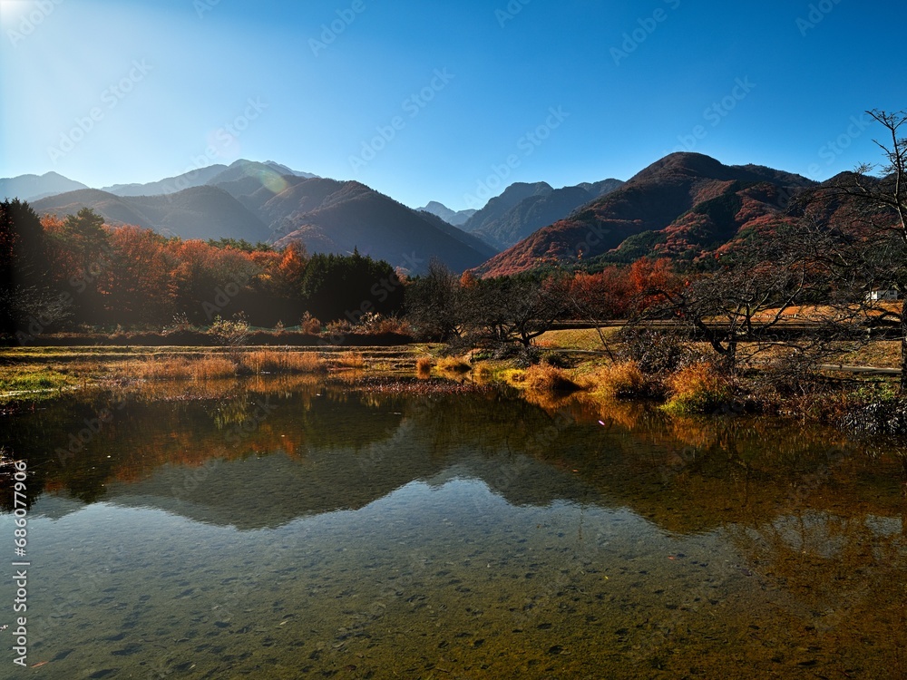 Golden Autumn Foliage in red and orange colors with beautiful lake view background under the blue sky in Japan