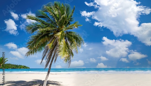 Palm tree on tropical beach with blue sky and white clouds abstract background
