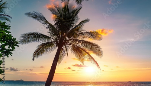 Fototapeta Naklejka Na Ścianę i Meble -  Palm tree on tropical beach with blue sky and white clouds abstract background