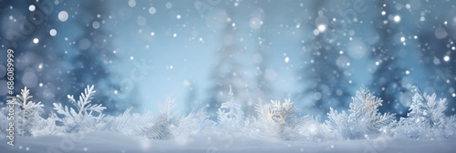 winter background image of frosted spruce branches copy space. © Sagar