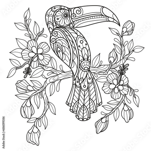 Hornbill on branch hand drawn for adult coloring book