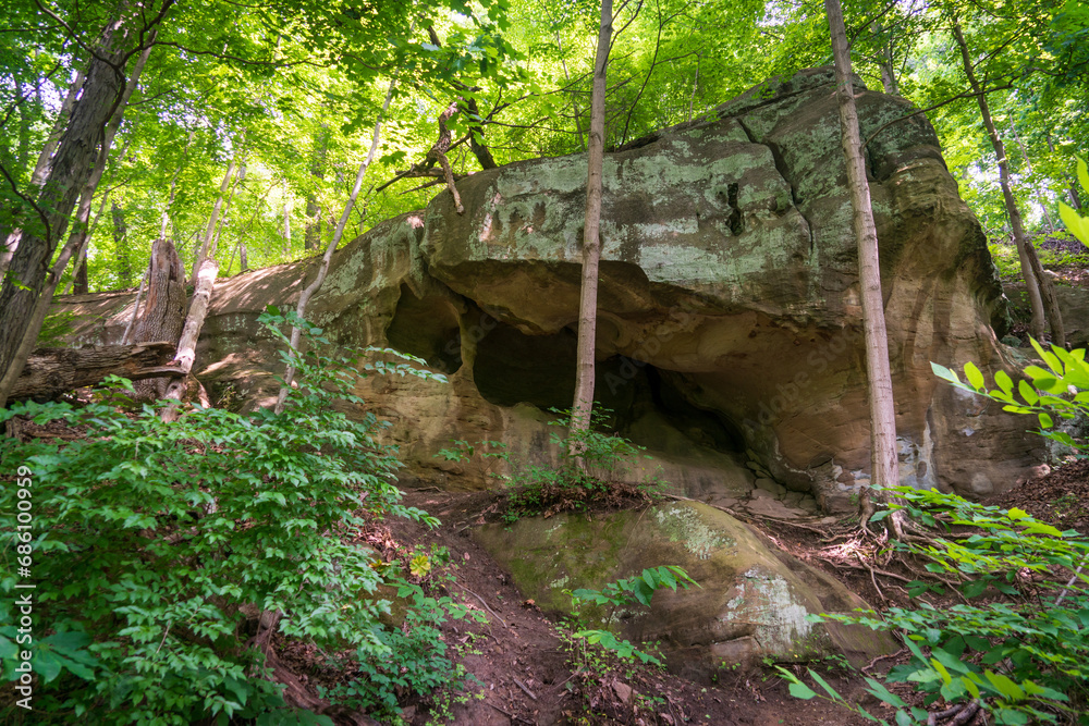A Trail in The Plains Ohio Through the Woods A Trail in The Plains Ohio Through the Woods