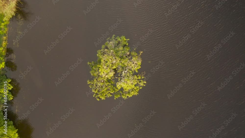 Camera gently rolls downward, capturing birds flying over the island with a bird's nest in the lake. Camera gently rolls downward, capturing birds flying over the island with a bird's nest in the lake.