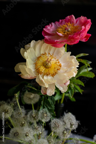 Fototapeta Naklejka Na Ścianę i Meble -  Still life with two peonies 