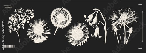 Trendy elements with a retro photocopy effect. y2k elements for design. Flowers, chamomile, sunflower, dandelion. Grain effect and stippling. Vector dots texture. photo