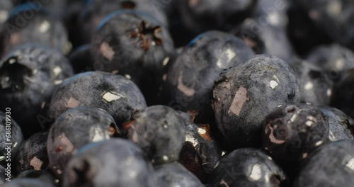 Extreme close up  of fresh ripe blueberries rotate on a brown plate on a blue background.