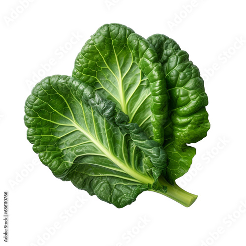 Fresh collard green isolated on transparent background photo
