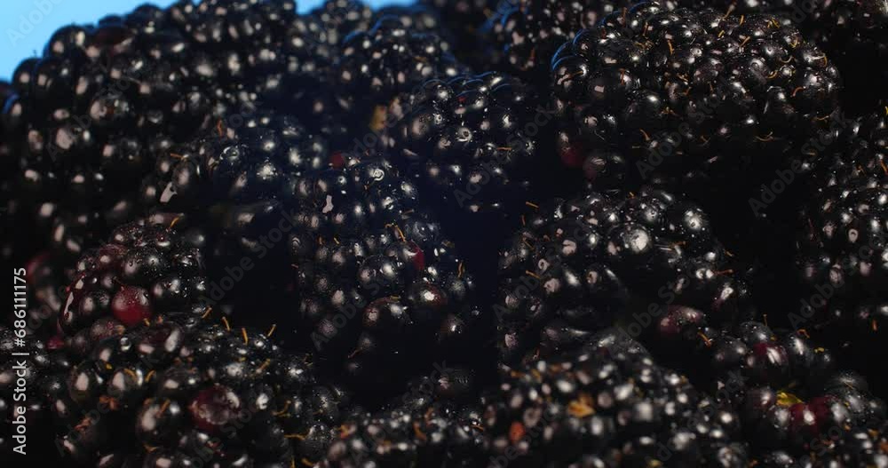 Extreme close up of fresh ripe blackberries rotate on a brown plate on a blue background. Extreme close up of fresh ripe blackberries rotate on a brown plate on a blue background.