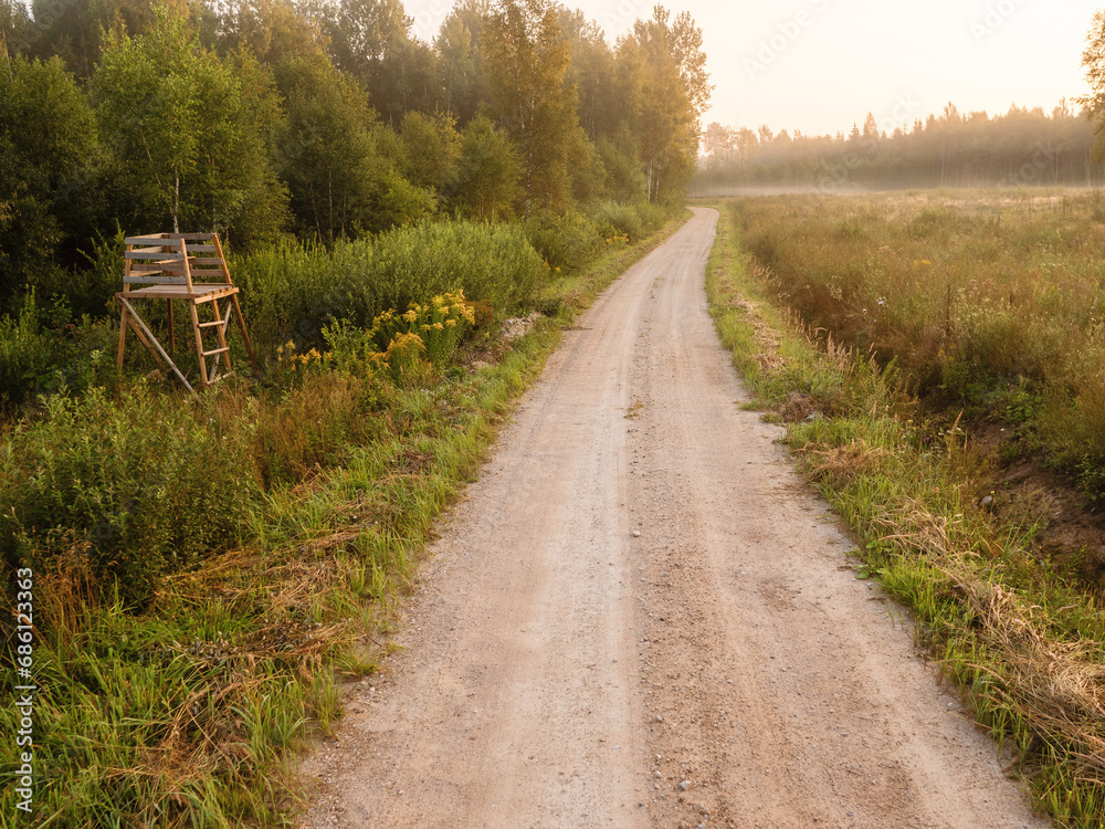 Small narrow country road by a forest at sunrise. Rural Latvia area. Nobody. Calm and relaxed mood. Nature scene background. Small narrow country road by a forest at sunrise. Rural Latvia area. Nobody. Calm and relaxed mood. Nature scene background.