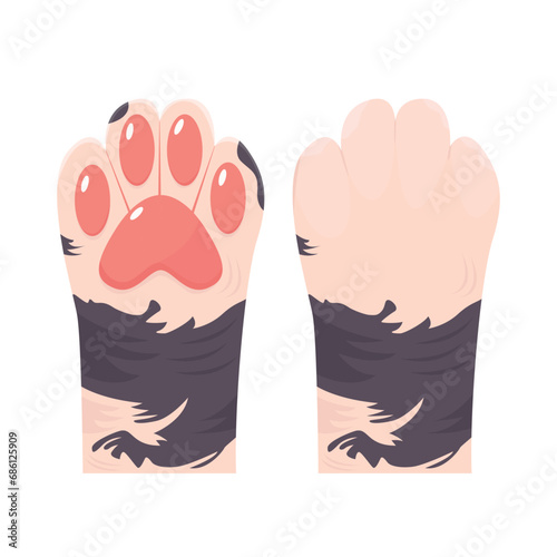 paw illustration