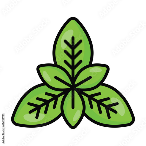 Fresh basil leaves vector design, isolated on white background