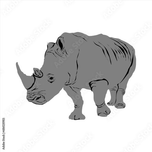 Vector illustration of the Javan Rhinoceros  a rare Indonesian animal.