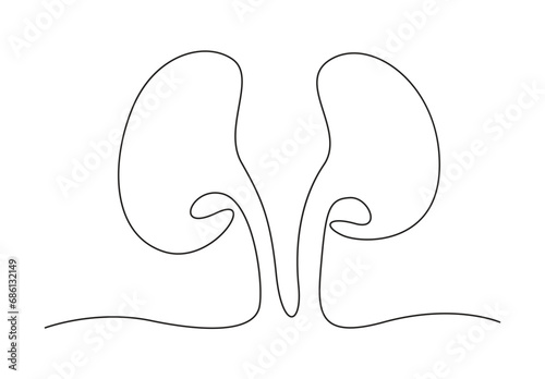 Human kidneys with ureters one line art. Continuous line drawing of human kidney, internal, organs, kidneys, ureters, excretory. Vector illustration. Pro vector. photo