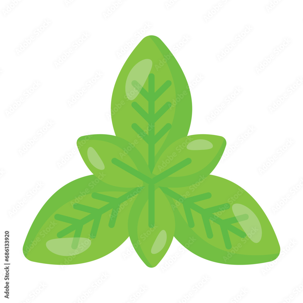 Fresh basil leaves vector design, isolated on white background Fresh basil leaves vector design, isolated on white background