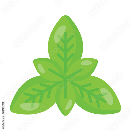 Fresh basil leaves vector design, isolated on white background