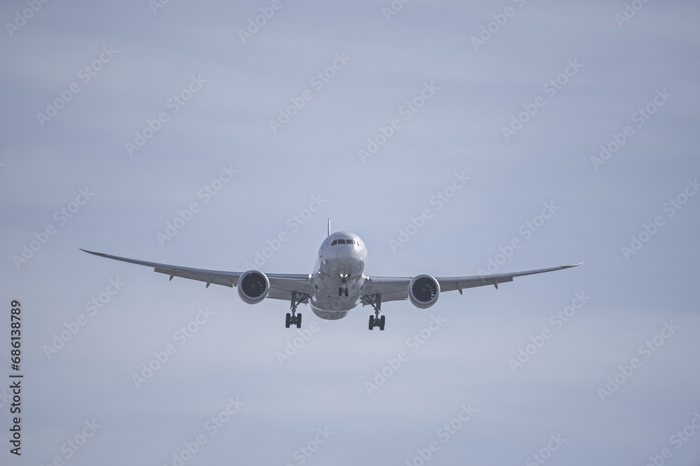 Watching the movement of a Boeing 737-800 just before landing - obrazy, fototapety, plakaty 