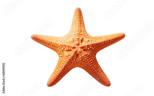Starfish Oceanic Limb Regenerator Isolated on a Transparent Background PNG.