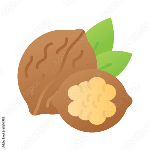 Healthy organic food, whole and peeled walnut vector design