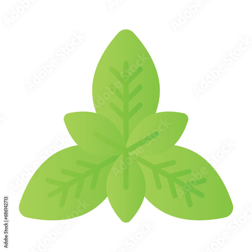 Fresh basil leaves vector design, isolated on white background