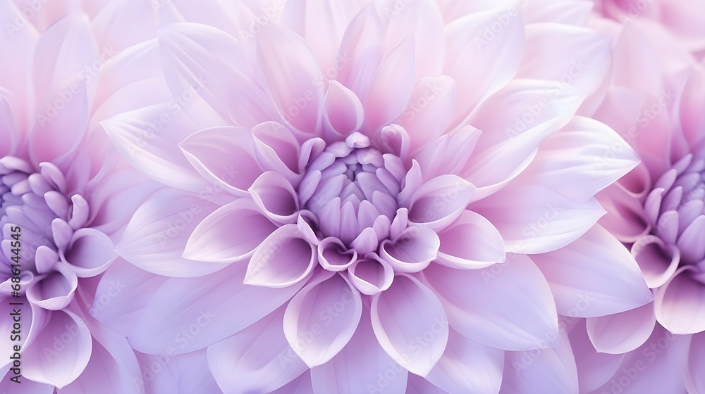 Abstract pastel light pink dahlia flowers close up. Summer minimal floral background.
