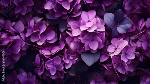 Abstract pastel purple and pink lilac flowers close up. Summer minimal floral background. © Premium_art