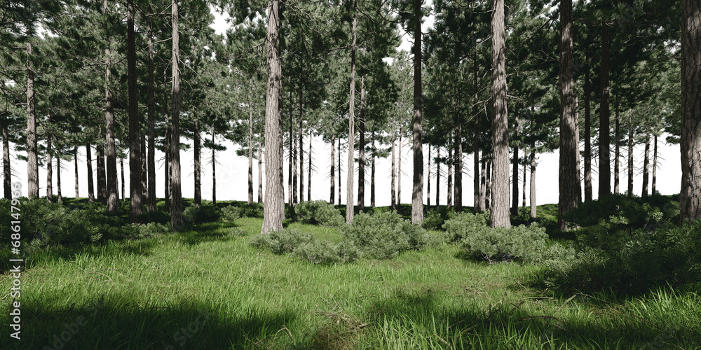 Forest with meadow. 3d rendering of isolated objects. Forest with meadow. 3d rendering of isolated objects.