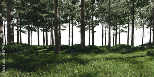Forest with meadow. 3d rendering of isolated objects.