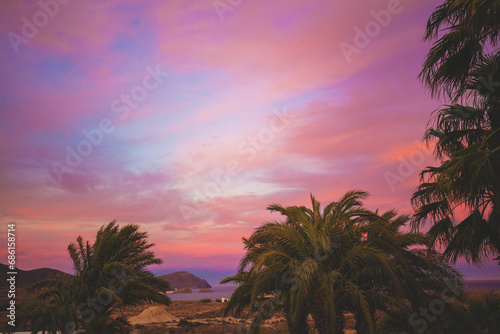Seascape with palm trees in the early morning. Beautiful sunrise in Cabo de Gata in Spain, Europe