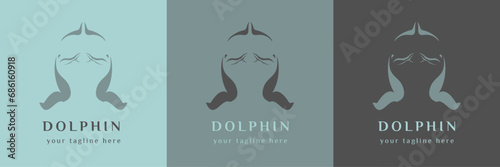 Dolphin logo vector